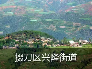 掇刀区兴隆街道